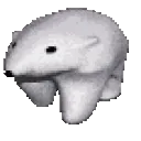 polarbear