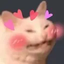 Blushcat blushCat Discord Emoji