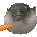Pufferfish