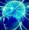 bigbrain