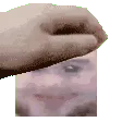 MiniiiPat MiniiiPat