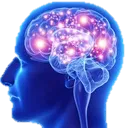 mind