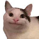 Cat_Hanh