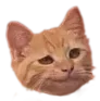 smug smug