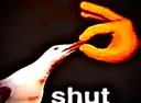 shut