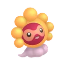 castformsunnyshiny