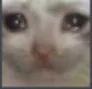 sad_cat