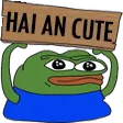 haiancute