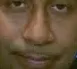 reallynigga reallynigga