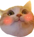 uwublush