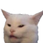 meme_cat_being_yelled Discord emoji