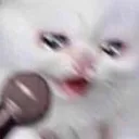 CryingKitten