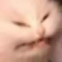 echprime