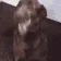 DP_WhatisDogWant