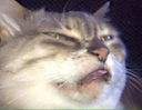 AUM_18 Discord emoji