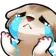 FerretHandsCry Discord Emoji