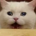 aaaa