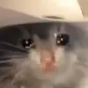 sad_yee_haw