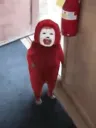 0_cursed_elmo