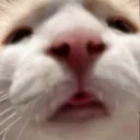 derpdio derpdio