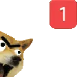 dogePing