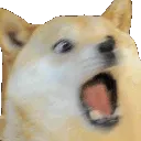 dogeSCREAM