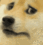 dogeSCARED Discord Emoji