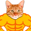 pwgoodSubs