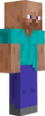 steve steve