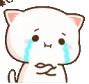 EAcatcry