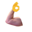 lukeflex_ok