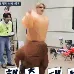afelixdance