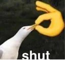shut