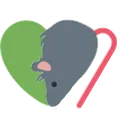 rat_heart