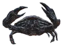 timeforcrab timeforcrab