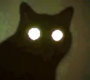 demoncat