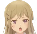 ShimaScold