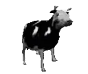 dpCow
