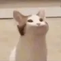 OMEGACAT