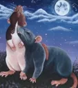 ratsinharmony