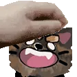 PETTHEKIT10