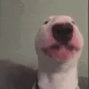 tobias tobias