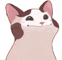 SCboppugdance SCboppugdance