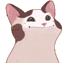 SCboppugdance SCboppugdance