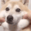 :squishyBOYE: