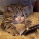 sad_momento2 sad_momento2