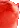 5_catvibe4 5_catvibe4