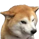 769979590663208993.png