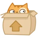box_cat_hide box_cat_hide