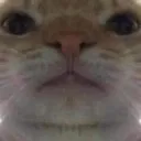 bruh_KV bruh_KV
